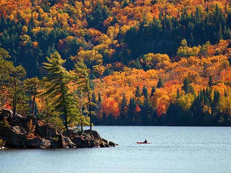 Connectivity for guest registration and purchases at boutiques at Ontario Provincial Parks